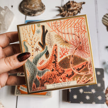 Load image into Gallery viewer, Matches