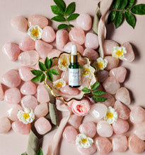 Load image into Gallery viewer, Midnight Rose Blend 10ml