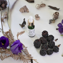 Load image into Gallery viewer, Autumn Nights Blend 10ml