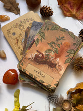 Load image into Gallery viewer, Herbal Astrology Oracle Deck
